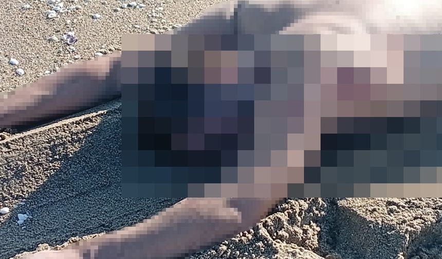 Sakarya’da şok eden olay: Sahilde cansız bedeni bulundu