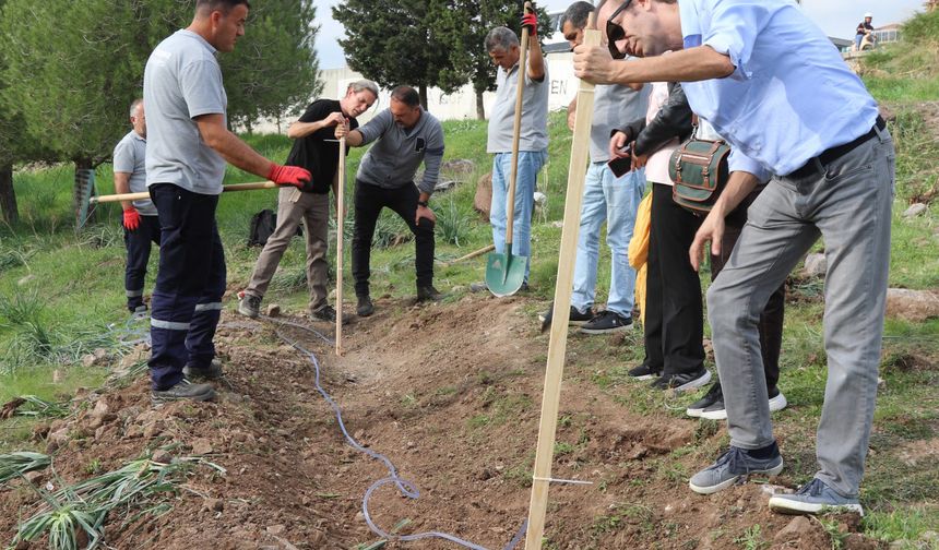 Bornova, susuzluğa karşı çareyi buldu