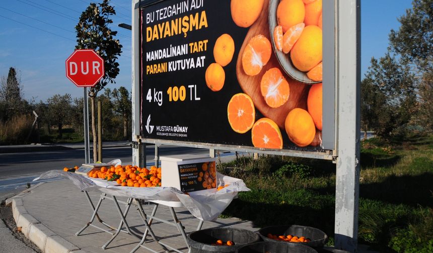 Güzelbahçe’de kimse denetlemiyor ama herkes güveniyor