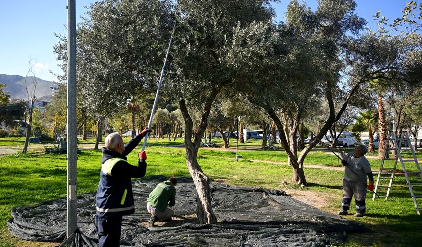 Kent Market raflarında ücretsiz dağıtılacak