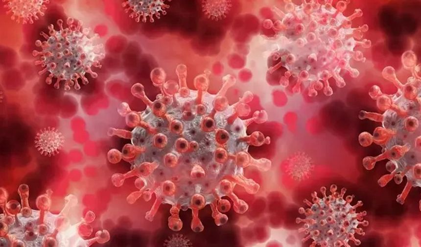 2026’da yeni virüs alarmı: Bilim insanları olası küresel tehditleri yakından izliyor