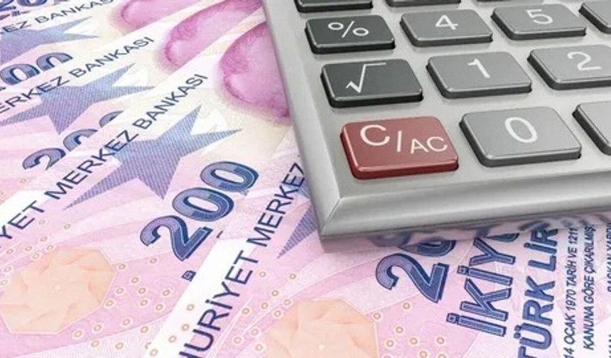 Vatandaşlık maaşı kimlere verilecek? Ne kadar ödeme yapılacak? Şartlar belli oldu