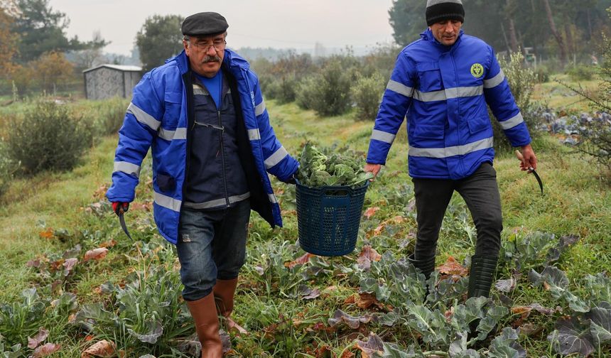 Buca’da üretimden sofraya dayanışma modeli