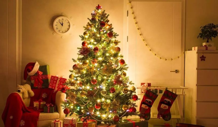 Yılbaşı ağacını nereye koymalısınız? Feng Shui’ye göre enerjiyi kesen noktalar