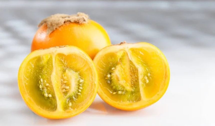 Yurt dışına çıkışı yasak olan eşsiz lezzet!