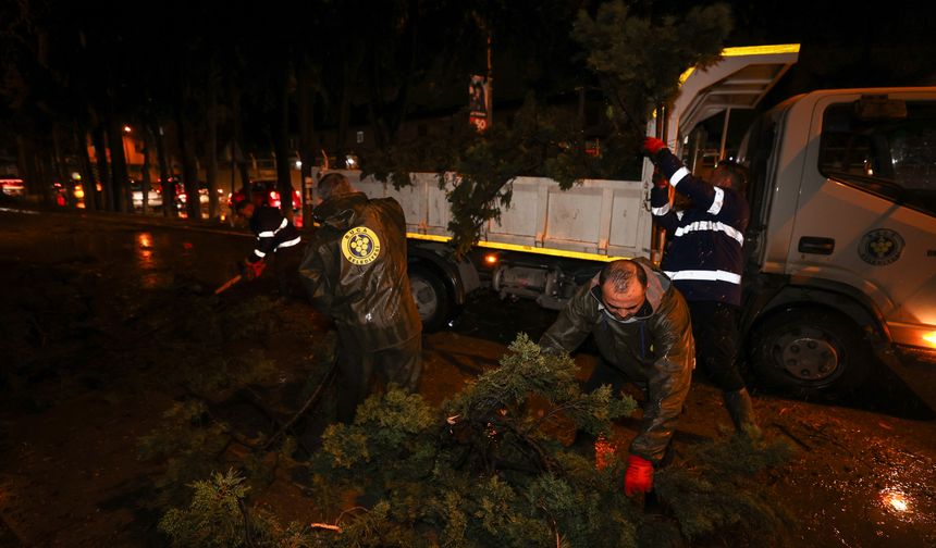 Çatılar uçtu, ağaçlar devrildi: Buca Belediyesi mesaiye başladı