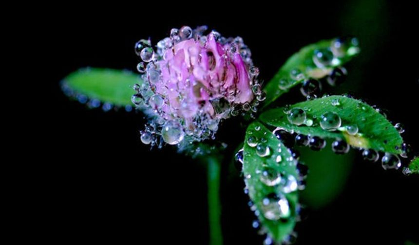 Cemre düşmesi nedir? İlk cemre ne zaman ve nereye düşecek? Cemre düşme tarihleri 2026