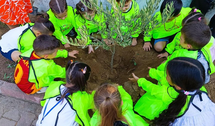 Şehit Üsteğmen Mehmet Sakallı AİHL | Yeşil Geleceğe Anlamlı Bir Adım: Bir Zeytin Masalı