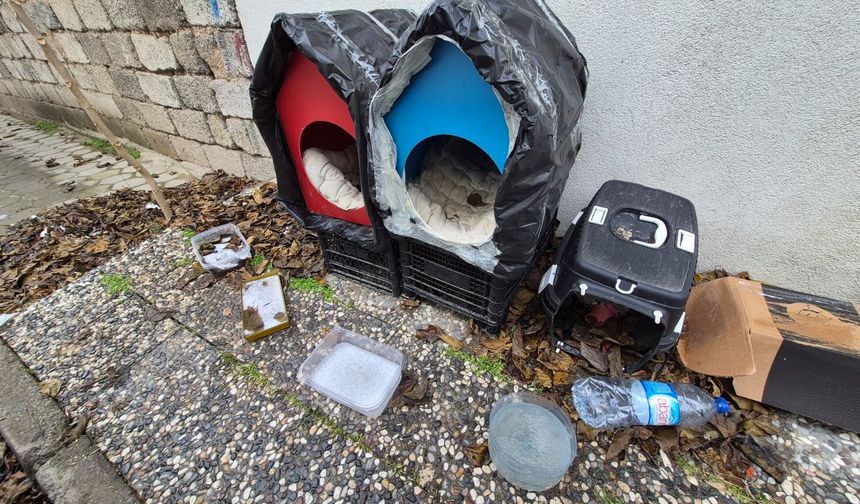 Mahalle sakinlerinden sokak kedilerine sıcak sürpriz!