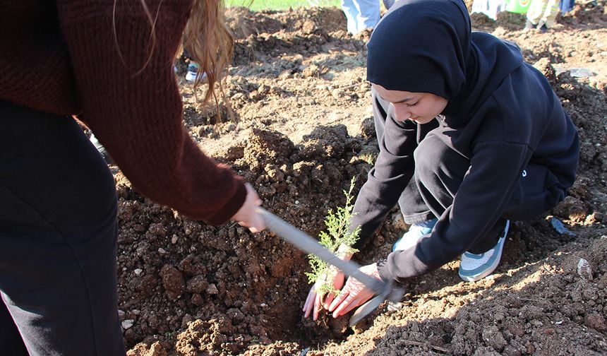 Şerife Bacı Mesleki ve Teknik Anadolu Lisesi | FİDANLAR GELECEĞE NEFES OLDU