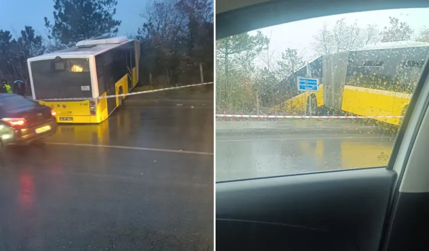 Faciadan dönüldü! Freni boşalan İETT otobüsü ormana uçtu