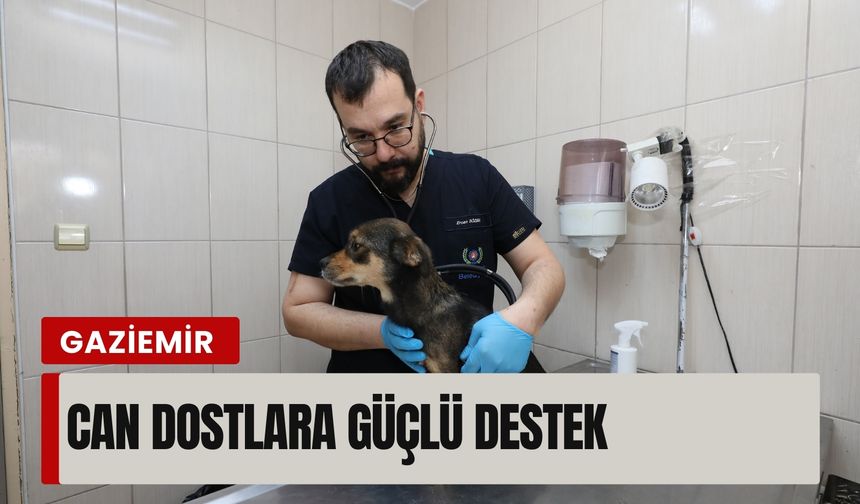 Gaziemir'de can dostlara güçlü destek: 6 bin 222 hayvana umut oldu