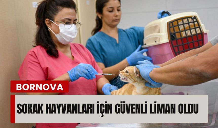 Bornova’daki bu merkez konuşuluyor