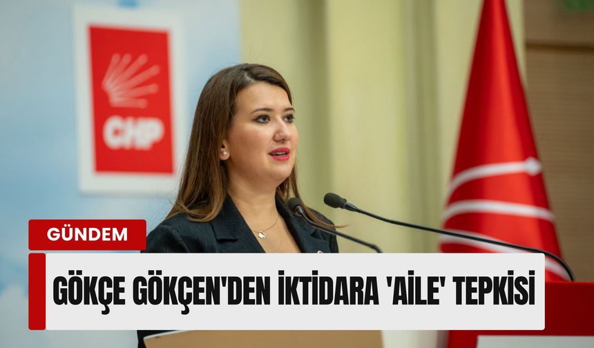 Gökçe Gökçen'den iktidara 'aile' tepkisi: 'Derdiniz kiminleyse onunla yarışın!'