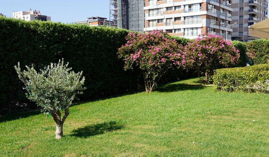 Medical Point’te yeşil dönüşüm başladı