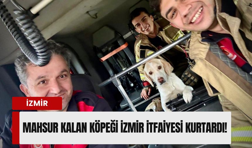 Suların arasında mahsur kalan köpeği İzmir İtfaiyesi kurtardı!