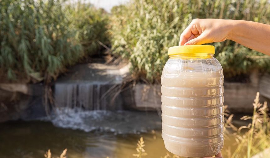 Gediz’in imdat çığlığı: İzmir Körfezi ve soframızdaki gıdalar büyük tehlike altında!