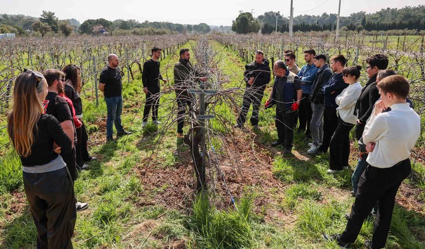 Buca’nın bağlarında mühendisler yetişiyor