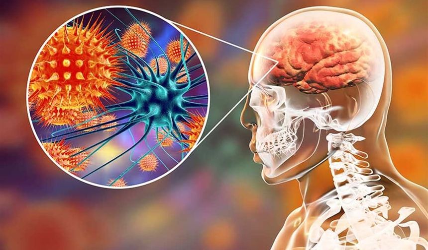 Yurt dışına gidecek ailelere hastalık uyarısı