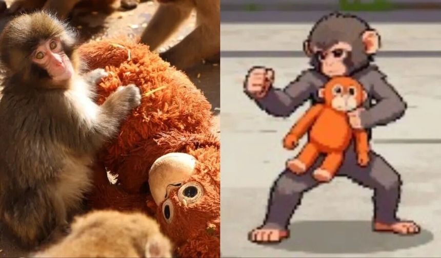 Fenomen maymun Punch artık bir oyun kahramanı