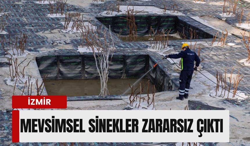 İzmir’de mevsimsel sinekler zararsız çıktı