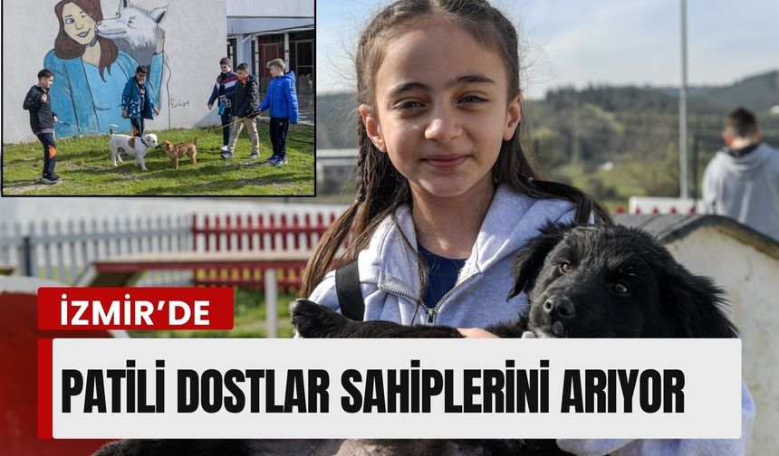 İzmir’de patili dostlar sahiplerini arıyor