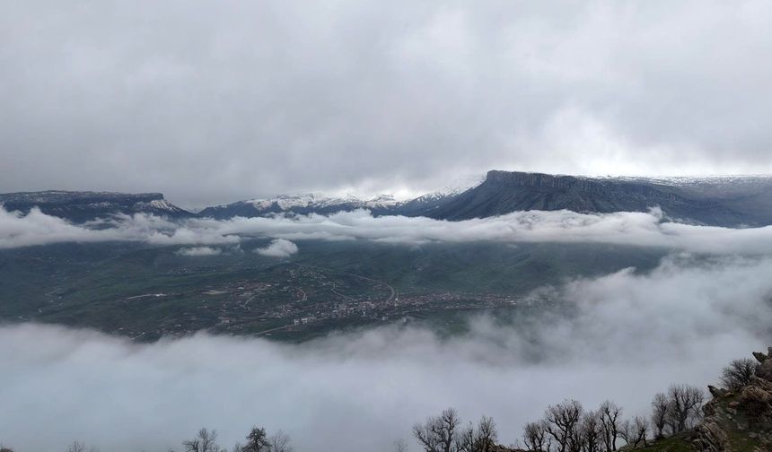 Derecik’te sis ve güneş doğada kartpostallık manzara oluşturdu