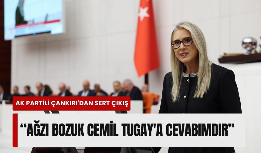 AK Partili Çankırı'dan sert çıkış: 'Ağzı bozuk Cemil Tugay'a cevabımdır'