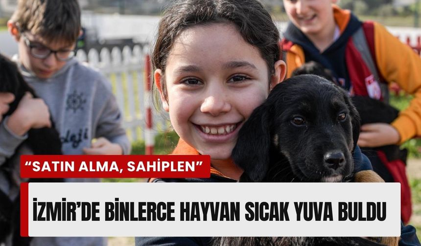 İzmir’de barınaklardan 3 bin 300 sokak hayvanı sahiplendirildi