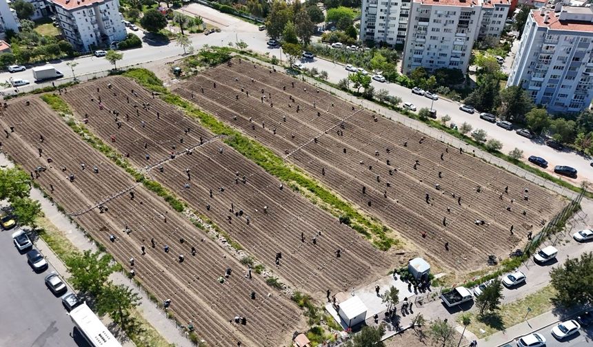 Bornova’da sınırları aşan dayanışma