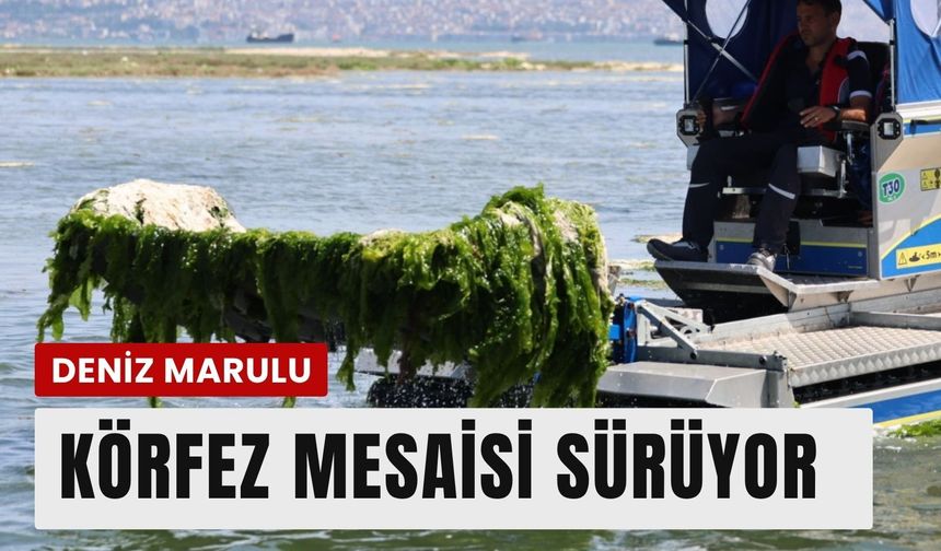 İzmir Büyükşehir’den Körfez’de temizlik mesaisi