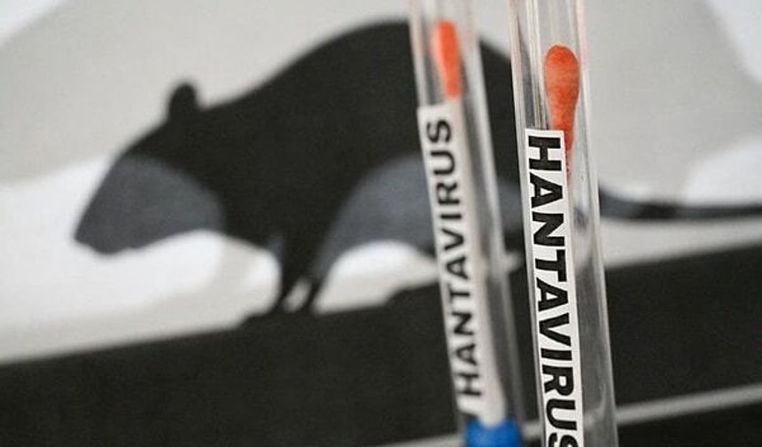 Hantavirüs krizi sürüyor... DSÖ'den açıklama! Vaka sayısı arttı
