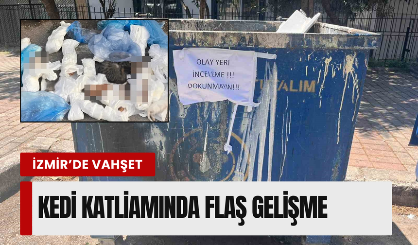 İzmir'de 33 ölü kediyi çöpe atan veteriner hakkında tutuklama talebi!