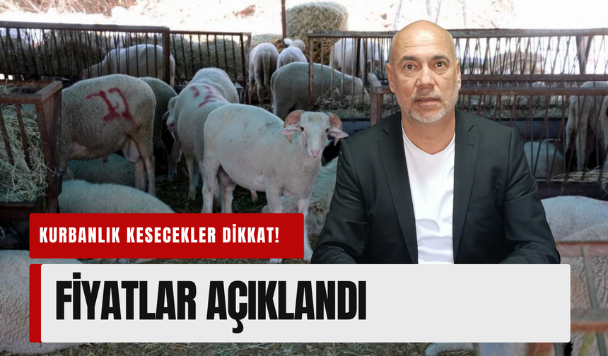 Aliağa’da kurbanlık kesim fiyatları duyuruldu