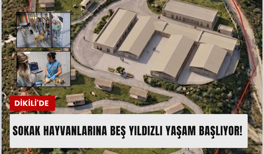 Dikili’de patili dostlara 24 bin metrekarelik yeni yuva!