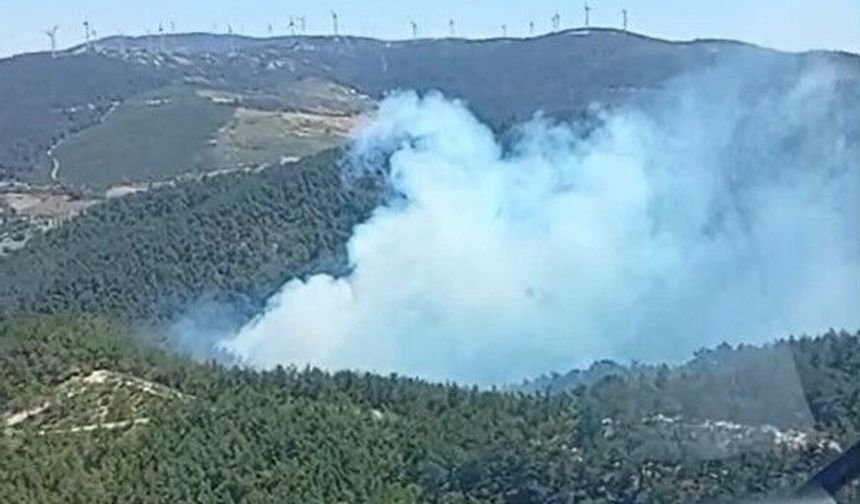 Soma'da korkutan orman yangını!