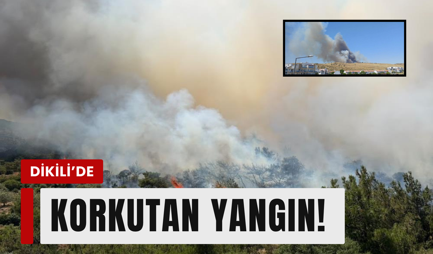 Dikili'de tarım arazisinde çıkan yangına yoğun müdahale!