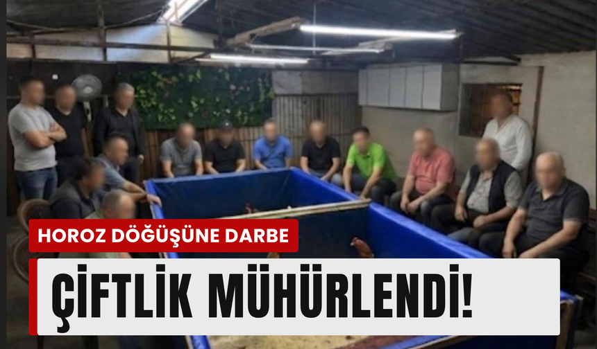 Aliağa’da horoz dövüşüne polis baskını!