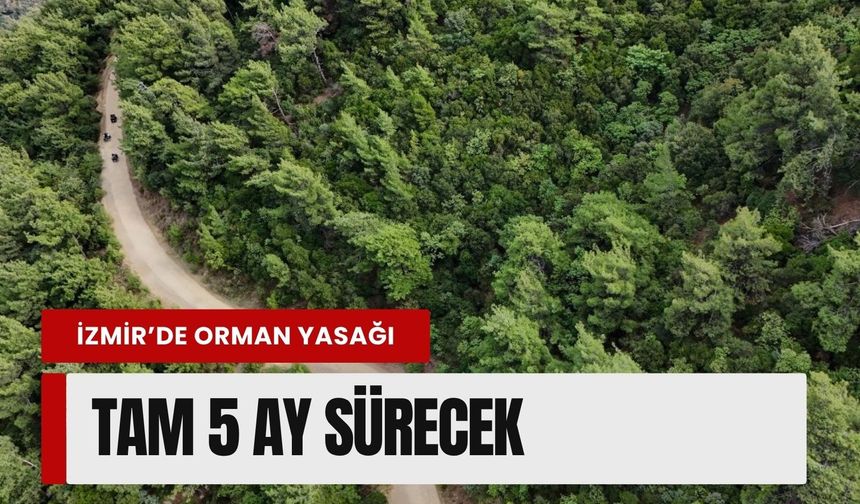 İzmir'de ormanlara giriş yasağı! tam 5 ay sürecek