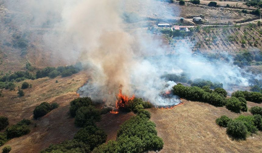 Manisa'da 15 dönüm küle döndü
