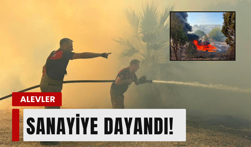 Menemen'de ot yangını sanayiye ulaştı!