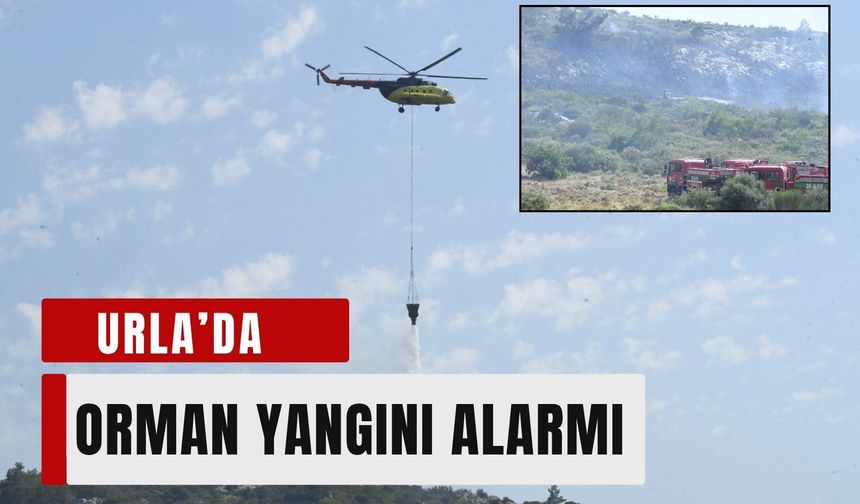 Urla’da orman yangını alarmı: Ekipler seferber oldu