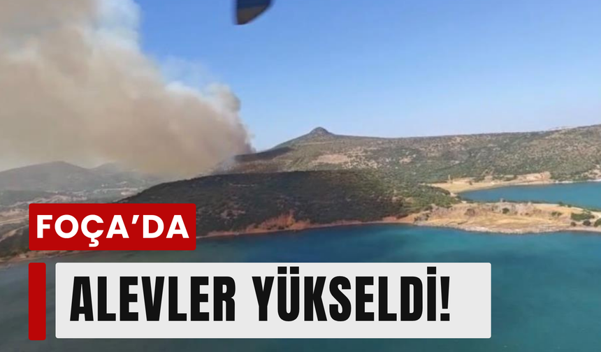 Foça'da korkutan yangın: Rüzgar alevleri büyüttü!