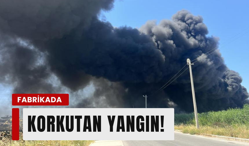 İzmir geri dönüşüm fabrikasında yangın!