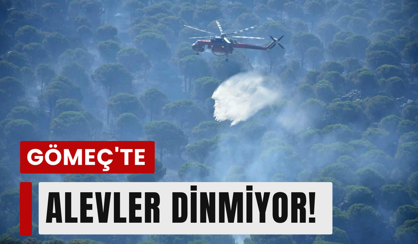 Gömeç’teki yangın Bergama’ya ulaştı!