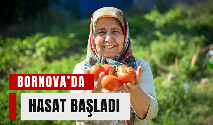 Bornova’da kent bostanlarında ilk hasat başladı