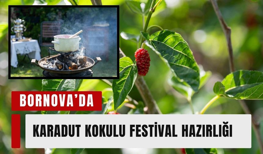 Bornova'da festival öncesi reçel mesaisi başladı