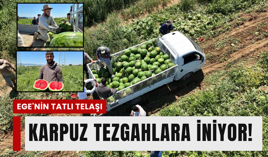Torbalı karpuzu tezgahlarda!