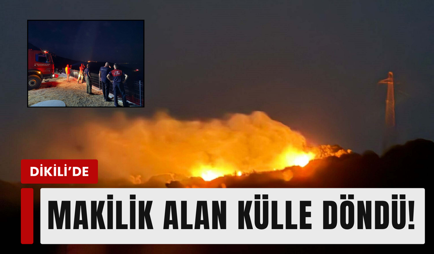 Dikili'deki makilik alanda yangın!