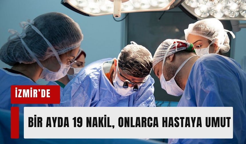 Bir ayda 19 nakil, onlarca hastaya yeni yaşam